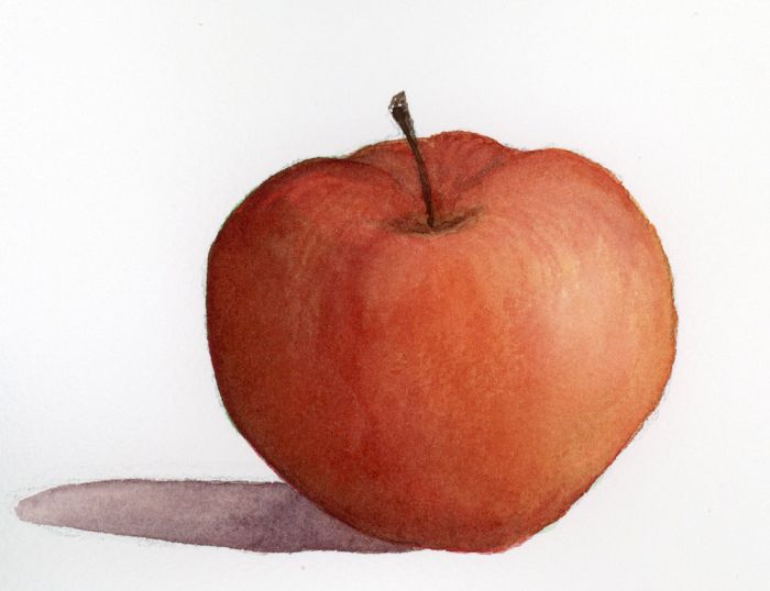 Apple watercolor painting by Mallery Jane