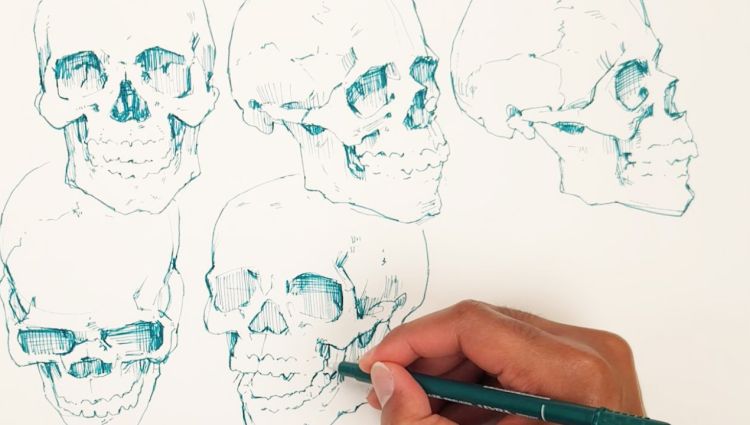 Skull Sketchbook drawing