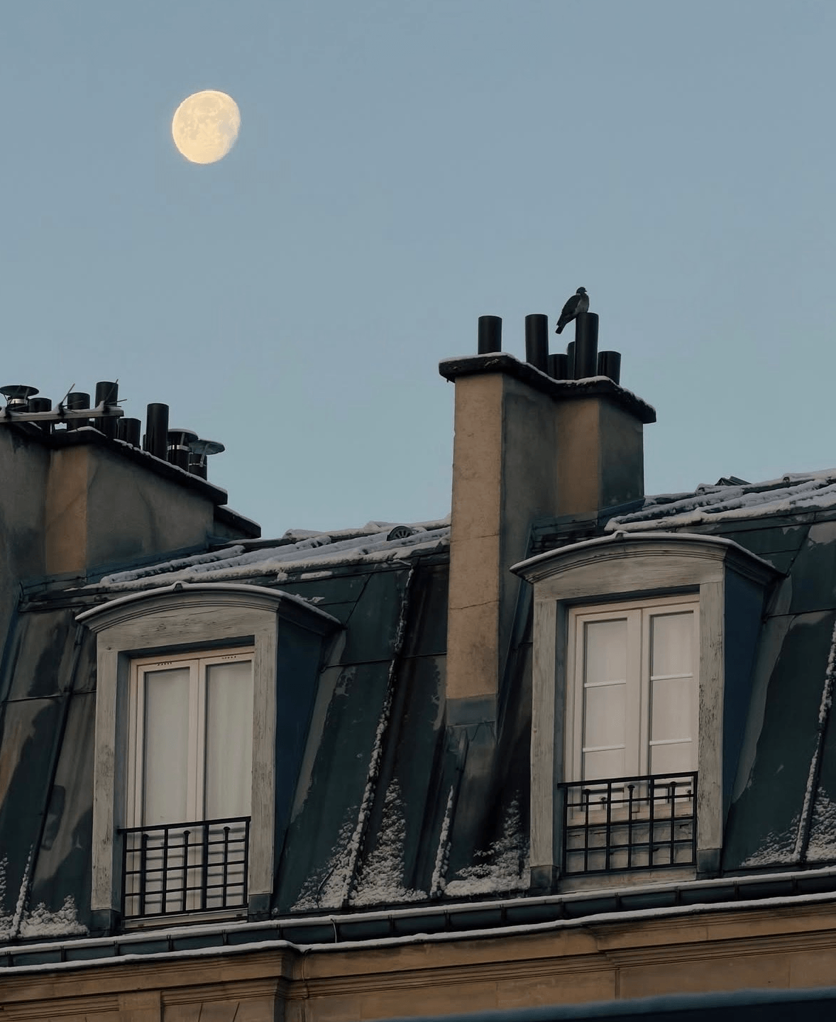 Pale moon in a blue dusk sky above snow-dusted zinc rooftops, with dormer windows, chimney pots and a single pigeon perched on a chimney